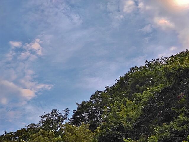 IMG_20220809_181400595