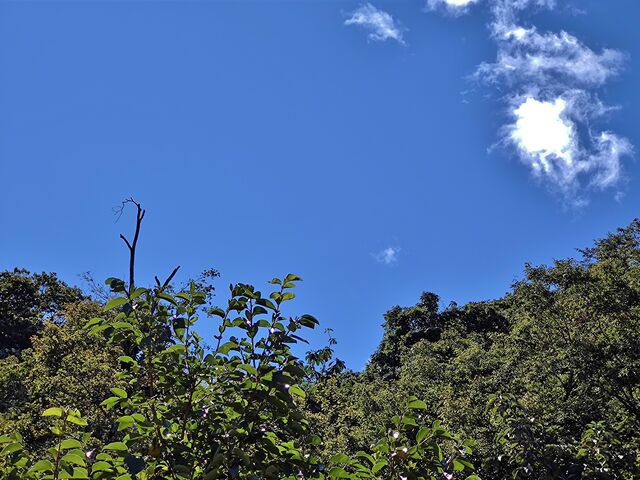 IMG_20221008_100444429