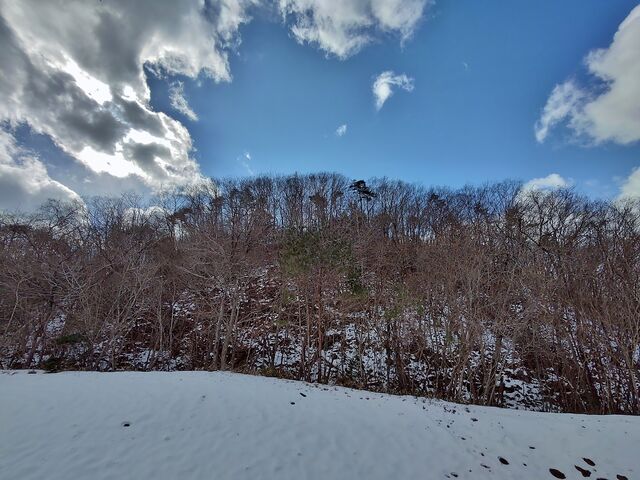 IMG_20220130_115107119_HDR