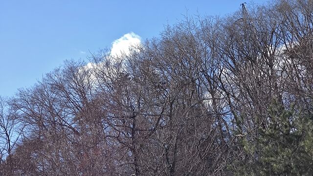 IMG_20221230_102023063