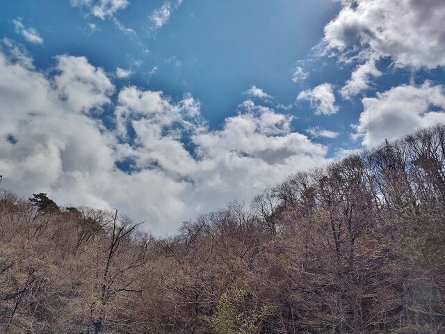 IMG_20220416_125632222_HDR