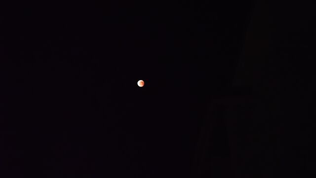 IMG_20221108_204231824