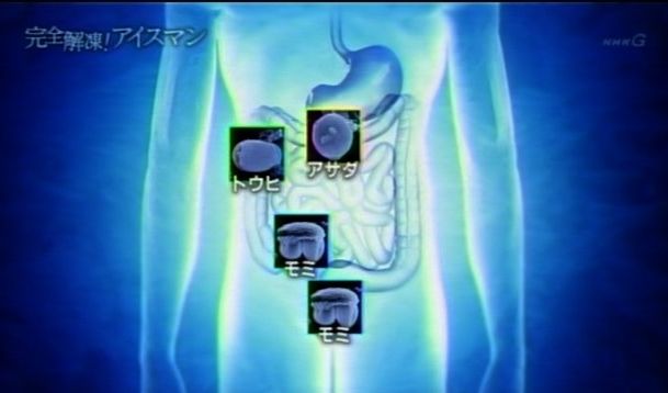 逃亡者アイスマンの死 今 生きている その日に感じた心を綴ろう