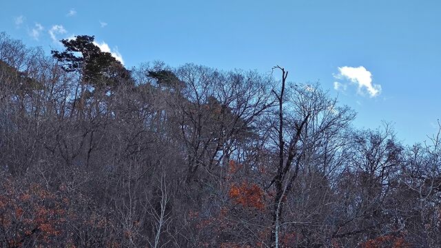 IMG_20221126_145818408