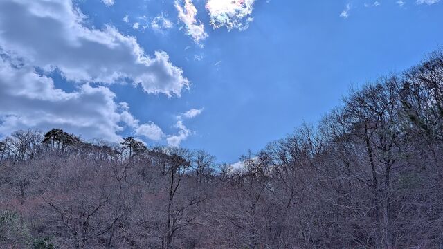 PXL_20260316_020638821