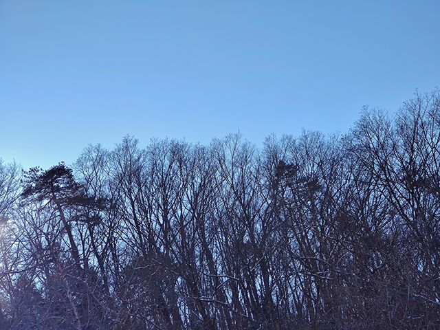 IMG_20220205_142034686