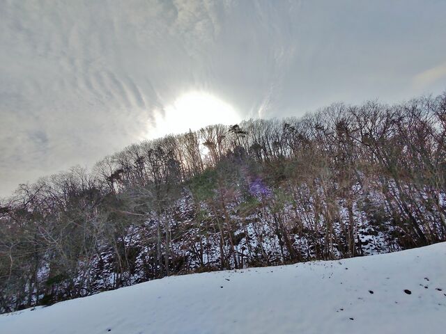IMG_20220123_141007882