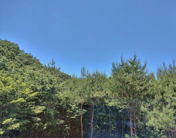 IMG_20220529_114243361_HDR