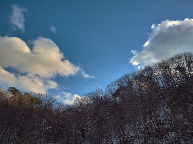 IMG_20220205_161044952_HDR