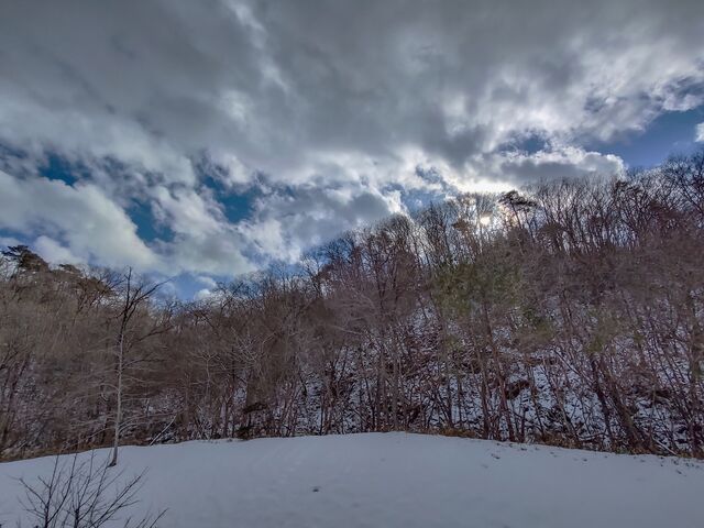 IMG_20220206_142618840_HDR_edited