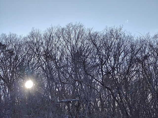 IMG_20220223_155221901