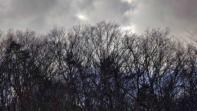 IMG_20221230_143742015