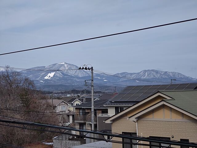 IMG_20220213_103513472
