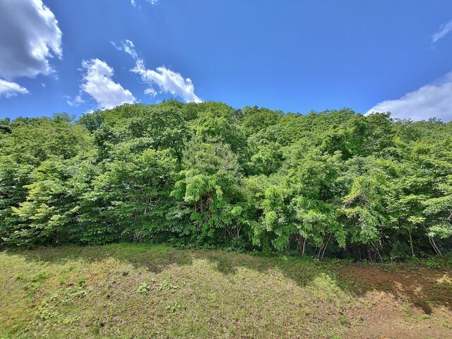 IMG_20220528_104802649_HDR