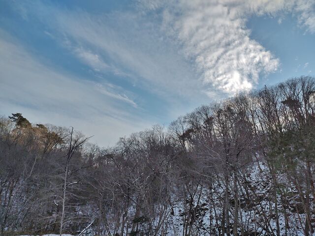 IMG_20211229_150534205