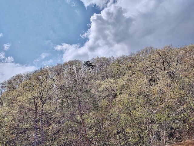 IMG_20220423_111806341_HDR (640x480)