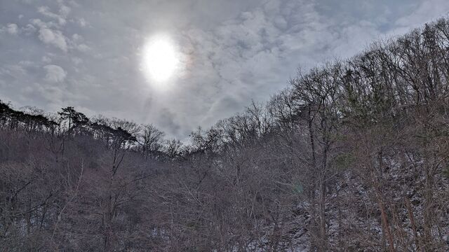 PXL_20260127_014740479