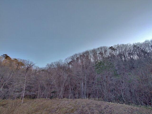 IMG_20220312_165526842_HDR