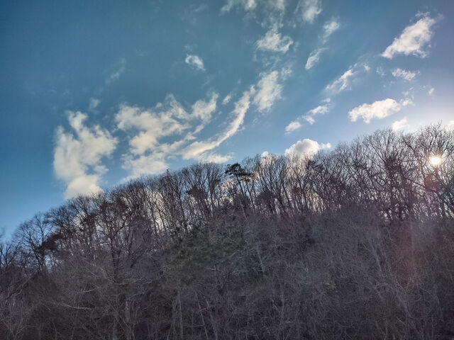 IMG_20220320_162822357_HDR_edited