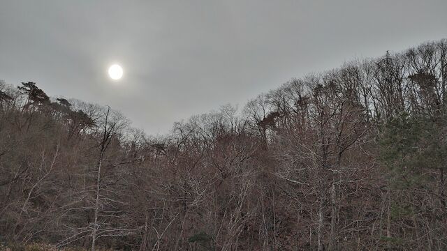 IMG_20230107_103440963_HDR