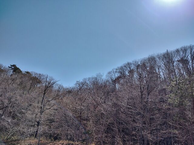 IMG_20220409_132335629_HDR