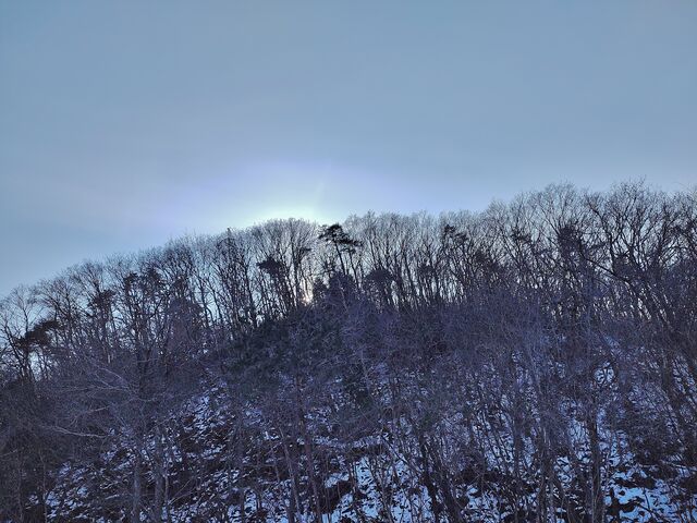 IMG_20220123_143312348