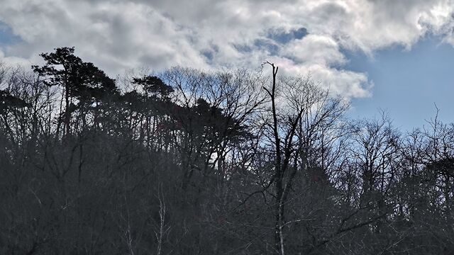 IMG_20230122_111307923