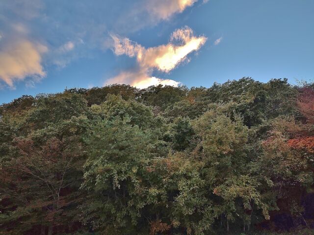 IMG_20221030_161817456