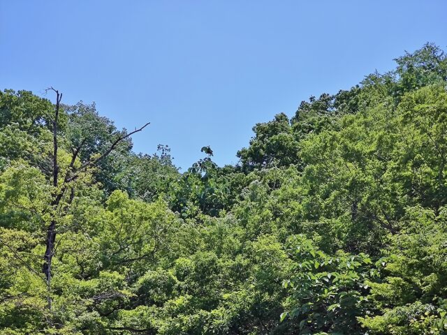 IMG_20220529_114345549