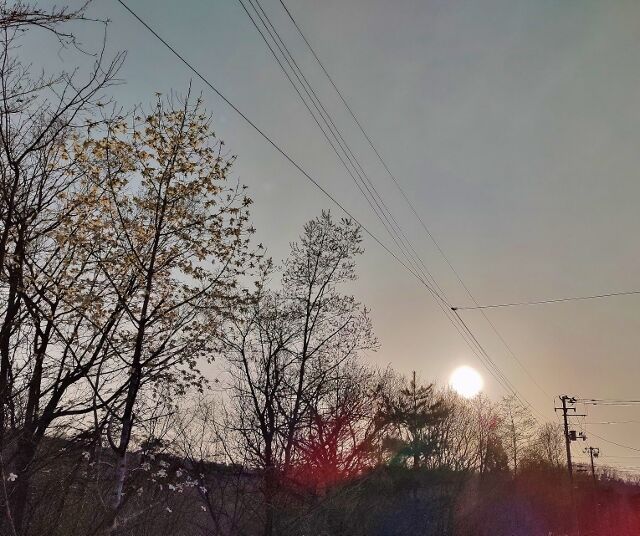 IMG_20220412_170849268_HDR (640x536)