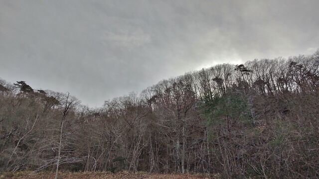 IMG_20221218_142003882_HDR