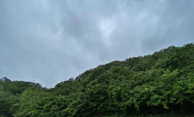 IMG_6576 (640x388)