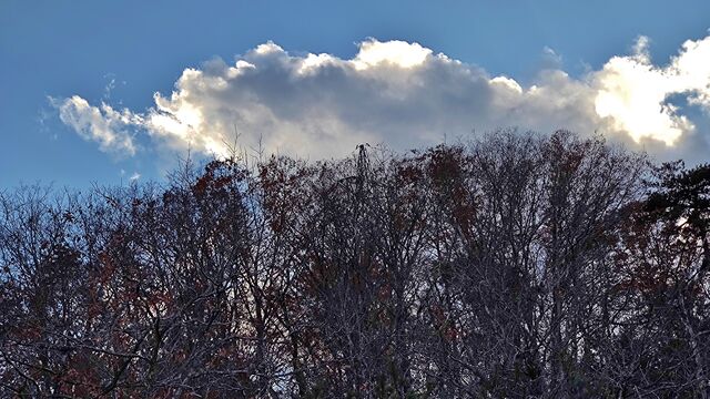IMG_20221126_145828170