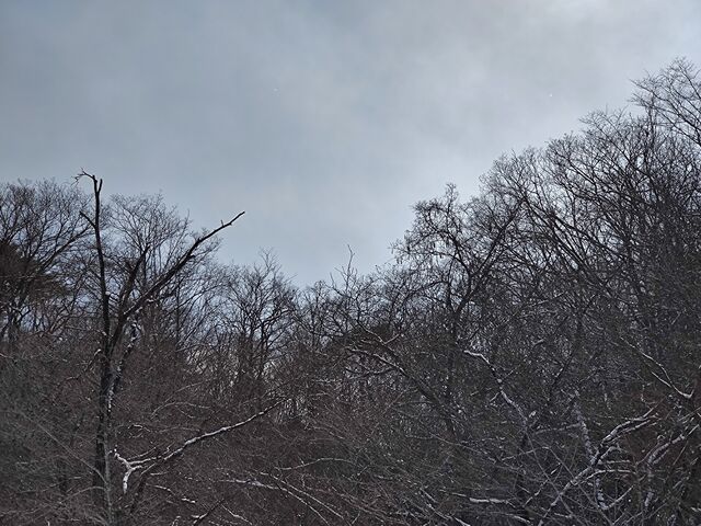 IMG_20220223_122127628