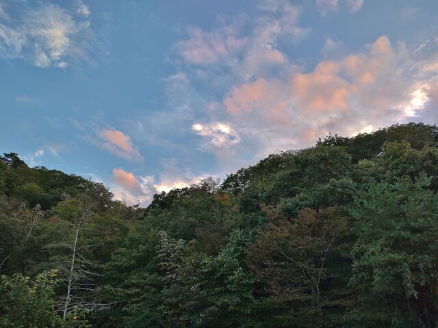 IMG_20221015_164738693
