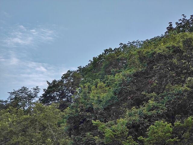 IMG_20220728_183339893