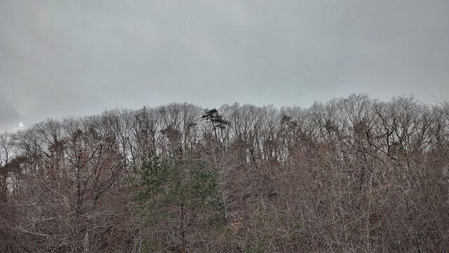 IMG_20221229_122837478_HDR