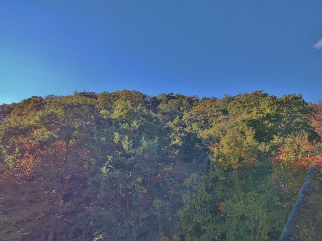 IMG_20221029_101339897