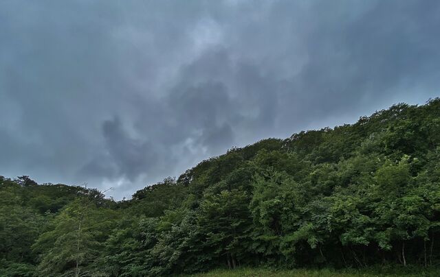IMG_5949
