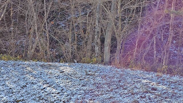 IMG_20221230_102051340