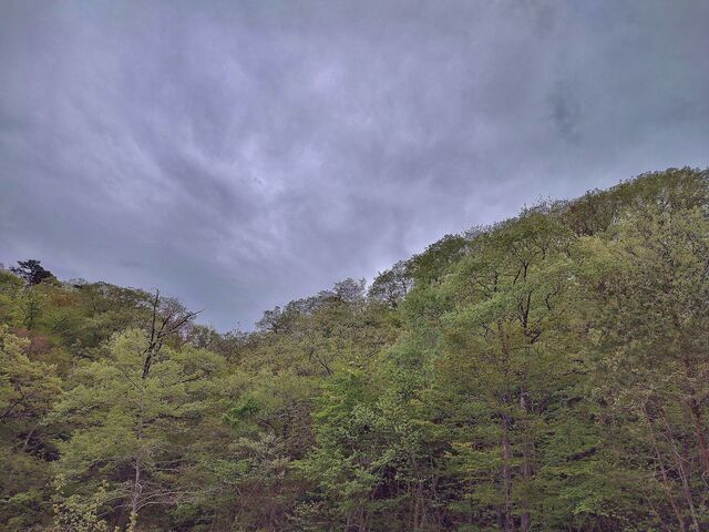IMG_20220501_072740387_HDR