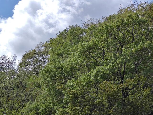 IMG_20220503_101453669