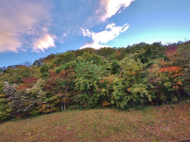 IMG_20221030_161833924