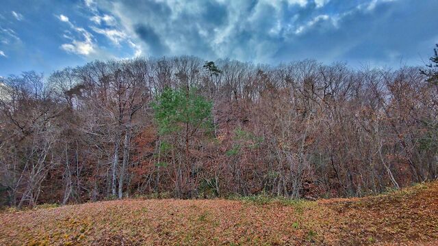 IMG_20221204_144707145_HDR-01