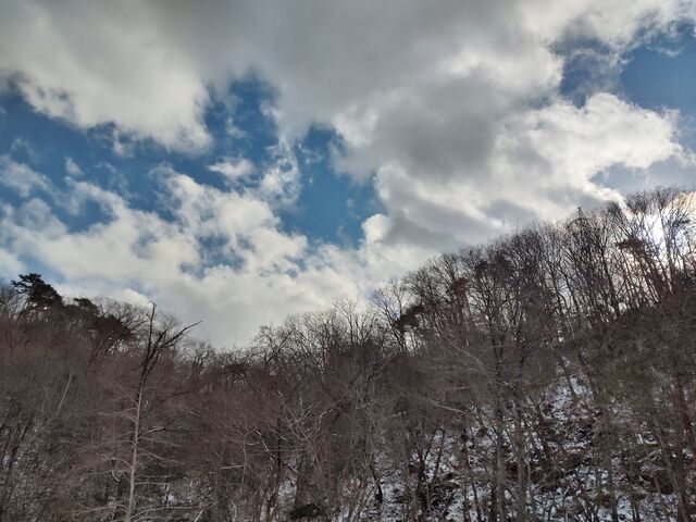 IMG_20220206_142115889_HDR