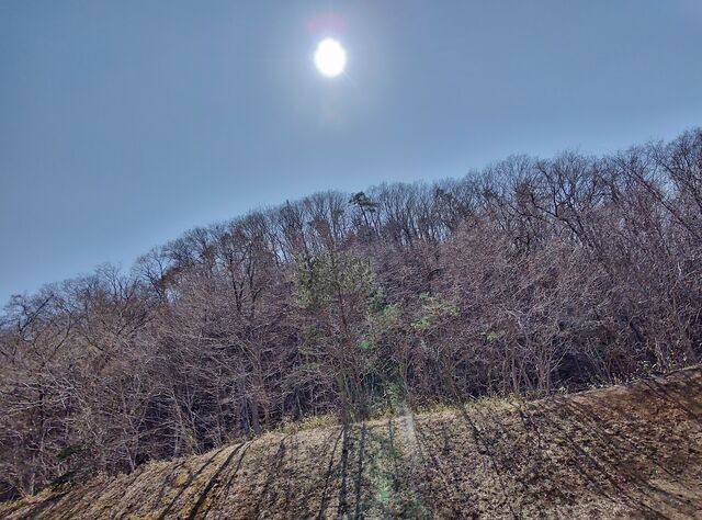IMG_20220409_134456992_HDR