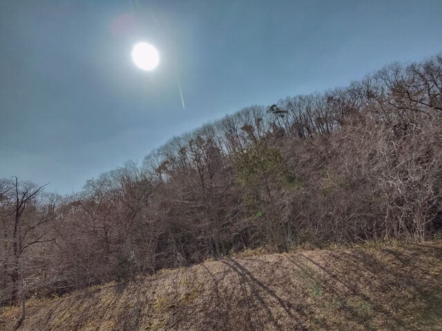 IMG_20220312_122403824_HDR_edited