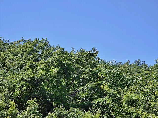 IMG_20220529_114407852