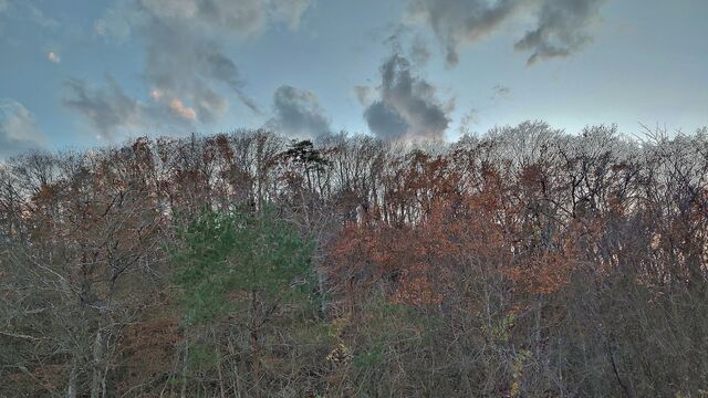 IMG_20221126_160712069_HDR