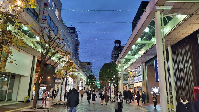 IMG_20221201_162928687_HDR